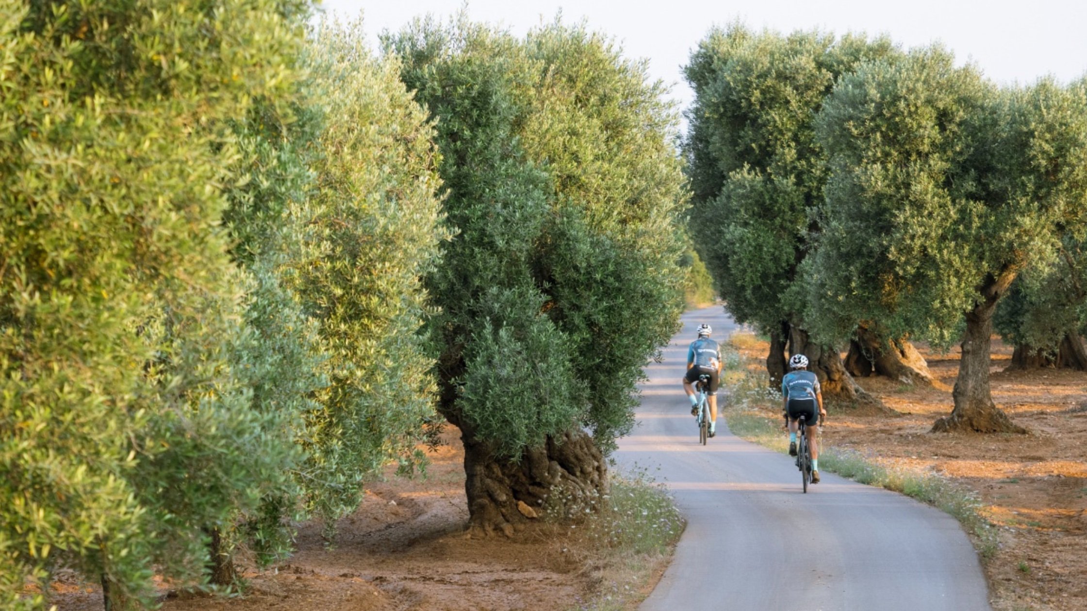 Best Places in Puglia Cycling