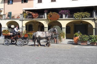 Giovanni_da_Verrazzano-Greve_in_Chianti-web