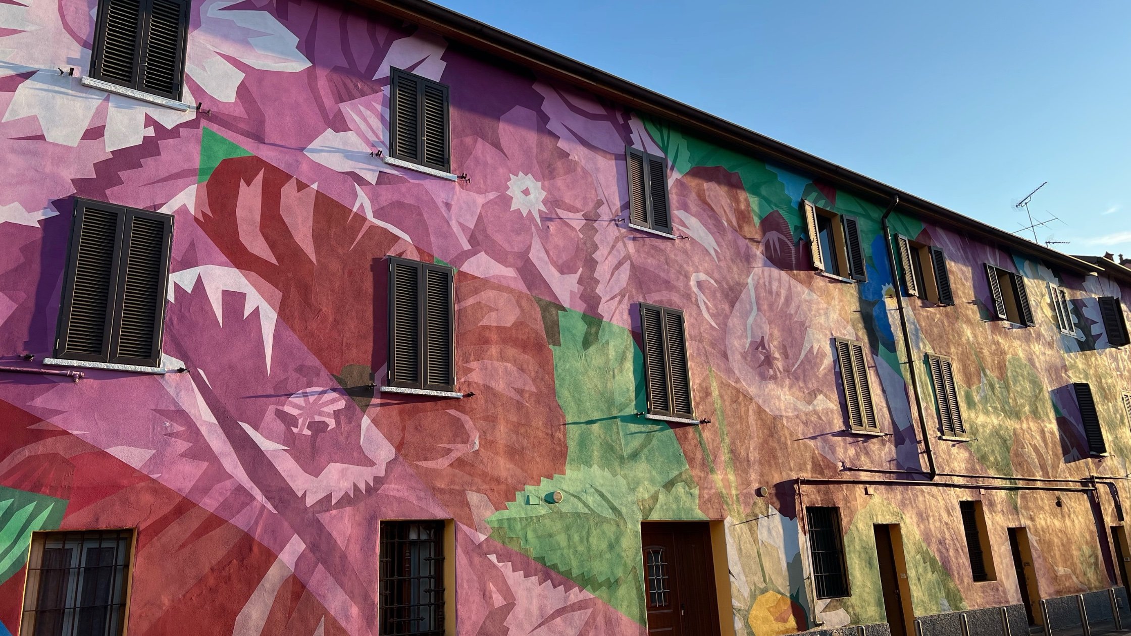 Ortica from the Garden