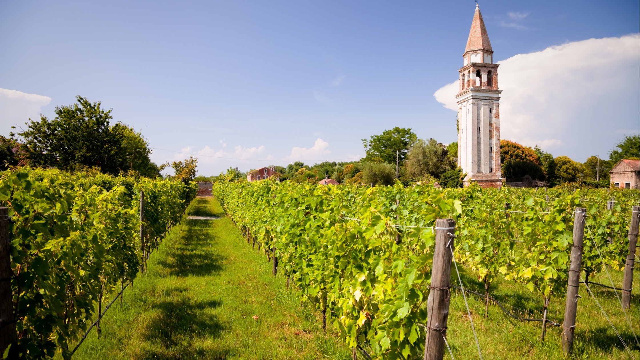 Veneto Venice Mazzorbo