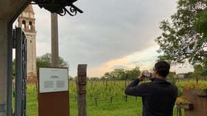 The Vineyard of Venice