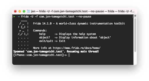 Modifying memory with Frida